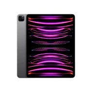 Apple iPad