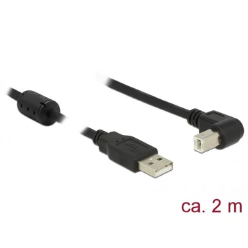 DeLock USB 2.0 Type-A male > USB 2.0 Type-B male angled 2m cable Black
