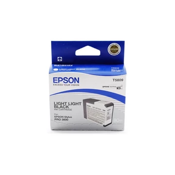 Epson T5809 light light black eredeti tintapatron