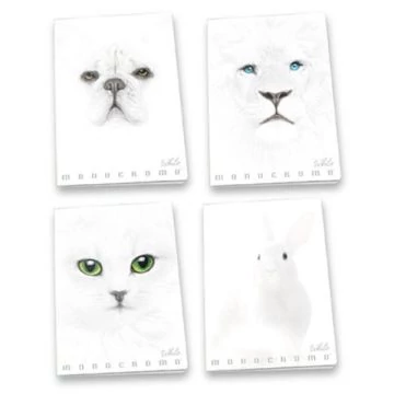 Pigna: Monocromo White vonalas füzet, A4 - többféle