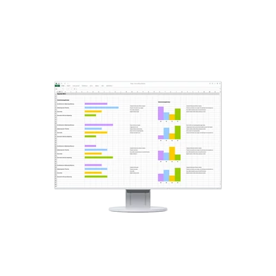 Eizo 24" EV2456-WT IPS LED
