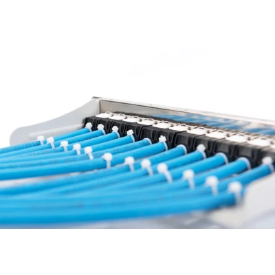 Kép 7/9 - Digitus 12-port patch panel 1U szürke