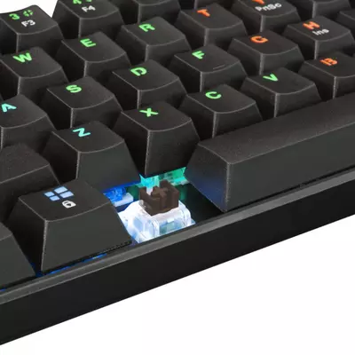Kép 5/7 - White Shark GK-2022B Shinobi Brown Switches Mechanical 60% Gaming Keyboard Black HU