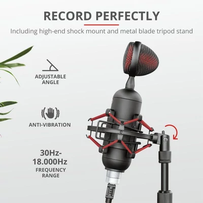 Kép 3/6 - Trust GXT 244 Buzz USB Streaming Microphone