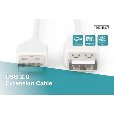 Kép 4/5 - Assmann USB 2.0 extension cable, type A 1,8m Beige