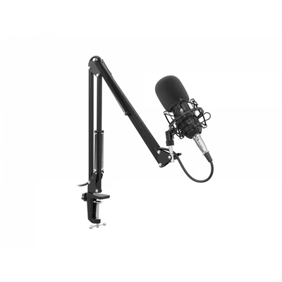Kép 2/7 - natec Radium 300 XLR Microphone