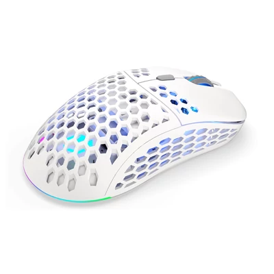 Kép 4/11 - Endorfy LIX Plus Wireless Mouse Onyx White