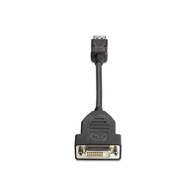 HP DisplayPort - DVI-D (Dual Link) Adapter Black