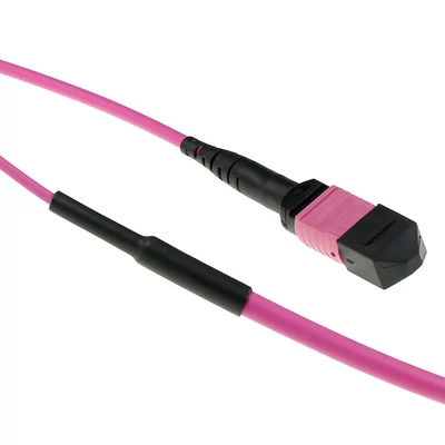 Kép 2/2 - ACT Multimode 50/125 OM4(OM3) polarity A fiber trunk cable with MTP/MPO female connectors 70m Pink