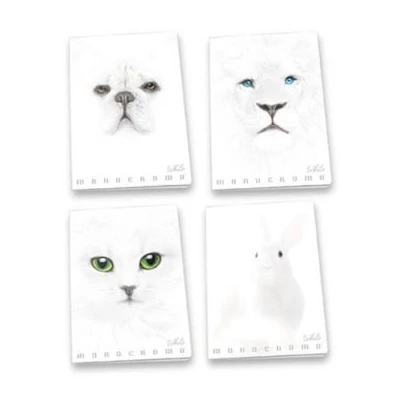 Pigna: Monocromo White vonalas füzet, A4 - többféle