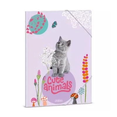 Cute Animals: Dosszié cica mintával, A4