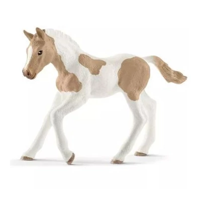 Schleich: Paint Horse csikó figura 13886