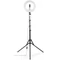 Hama SpotLight Steady 120 II LED Ringlight for Smartphone