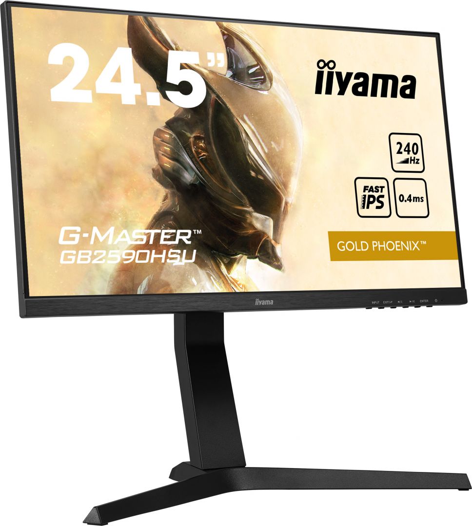 iiyama 24,5