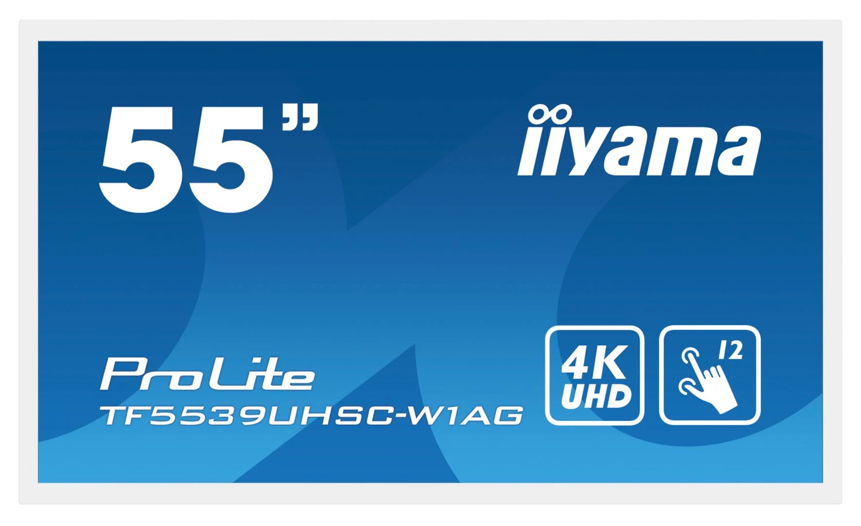 iiyama 55